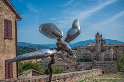 urbino